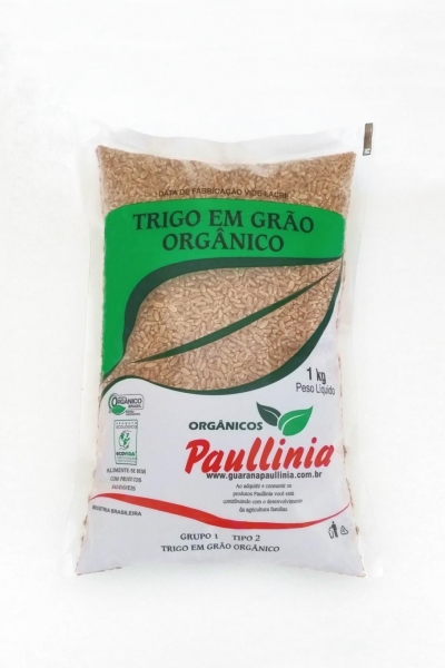 Trigo em Grão Orgânico