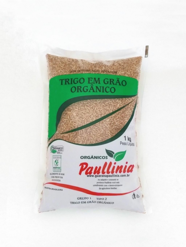 Trigo em Grão Orgânico